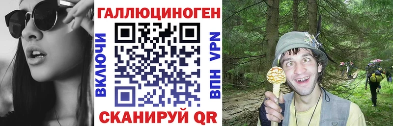 Псилоцибиновые грибы MAGIC MUSHROOMS  blacksprut как зайти  Реутов 